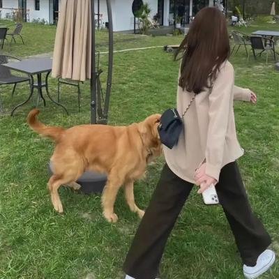 绿色直接行动